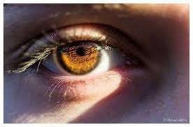 If you have brown eyes and want to accentuate them with makeup that looks natural, you taupes and browns are also good choices for darker skin. Brown Eyes That Look Like Honey In The Sunlight In 2021 Brown Eyes Aesthetic Beautiful Brown Eyes Blonde Hair Brown Eyes