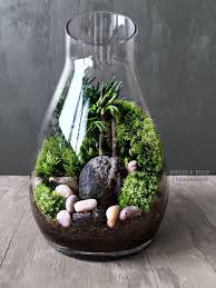 Carafe Moss Terrarium Gift Set Live Houseplants Office Decor Miniature Garden Under Glass Garden Terrarium Terrarium Decor Miniature Garden