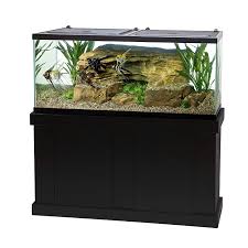 Salt Water Aquarium Set Up One 55 Gallon Tank Easybalance Plus Tetramin Aquasafe 6 Fish Net 200w Heater W In 2020 Saltwater Aquarium Setup Aquarium Set Aquarium