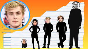 Logan paul is an american youtuber, internet personality, social media influencer, actor, podcaster, content creator, and boxer who has gained a massive fan base on social media and has also been a part of. How Tall Is Jake Paul Height Comparison Youtube