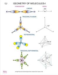 Dbios Geometry Of Molecules I Digitally Printed Education