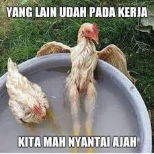 Jual souvenir pernikahan unik lucu bermanfaat dan murah untuk wedding nikah simpel. 20 Gambar Lucu Wa Kartun Tiya Gambar