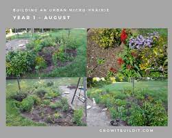 A residential prairie or prairie garden is a smaller site, typically 1/4 acre or larger, which has been planted with native grasses, sedges and wildflowers. How To Make Micro Prairie Growit Buildit