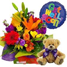 Teddy bears and stuffed toys that are lovable and huggable. Get Well Bear Hug Free Flower Delivery Auckland