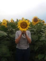 A avut o saptamana cu zapada si temperaturi va salut, in data de 20.04 am semanat floarea soarelui, favorit de la fundulea (am semanat pentru prima oara floarea soarelui), pe 21.04. A Venit Vara In ToatÄ FrumuseÈea Ei Nu Revista CreÈtinÄ InimÄ De PrinÈesÄ Facebook