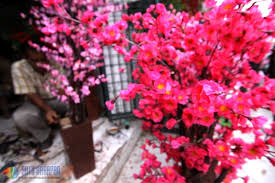 Beli hiasan bunga sakura online berkualitas dengan harga murah terbaru 2021 di tokopedia! 23 Top Hiasan Untuk Bunga Sakura