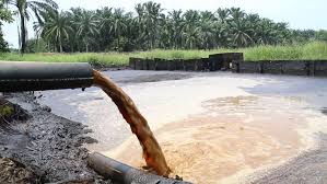 A set of preliminary experiments using different pome/leachate ratios and aeration times was performed to identify the setting of experimental design and optimize the effect of employing pome on four. Palm Oil Mill Effluent Pome Arkivvideomateriale 100 Royaltyfritt 17754091 Shutterstock