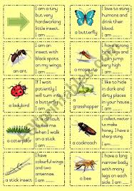 Grasp knowledge by learining about the insects here. Pin On School