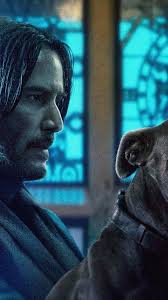 John wick 3 wallpaper phone. 333817 John Wick 3 Dog Keanu Reeves 8k Phone Hd Wallpapers Images Backgrounds Photos And Pictures Mocah Hd Wallpapers