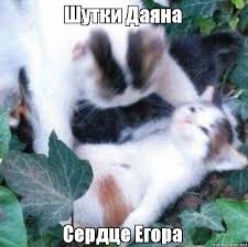 Резултат с изображение за „шутки“