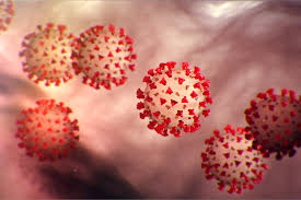 The human body contains major internal organs or body parts which can be easily identified. Infectious Diseases National Foundation For Infectious Diseases