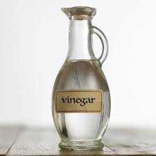 Does Vinegar Get Rid Of Spiders Extermpro