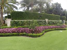Local insect control palm beach gardens fl. Palm Beach Gardens Florida Residential Landscaping