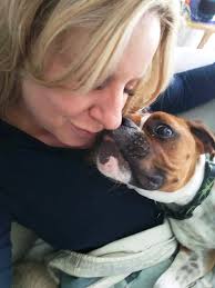 Drowzydawg Rescue: Journey's Recovery and Donations Needed