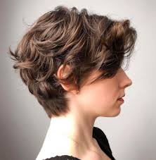 Short haircut model needed