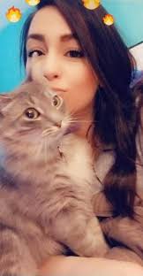 Missing Labradoodle. REWARD (if returned safely): $1000.00 Update: Hired an  infrared drone and no luck yet. Please keep your eyes and ears out as she  is very missed. She is filthy (was