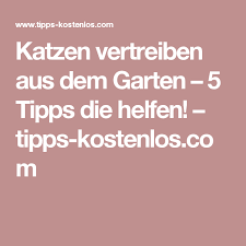 Katzen Vertreiben Aus Dem Garten 5 Tipps Die Helfen Garten Vertreiben Tipps