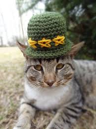 Army Pet Hat Army Pet Helmet Soldier Helmet For Pets The General 39 S Cat Soldier Hat Dog Memorial Cat Hat Pets Cats
