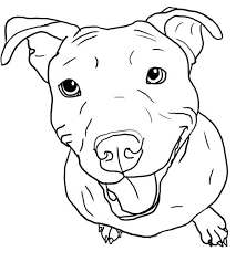 For Izzy Sketch Hond Tekeningen Tekenen Dieren