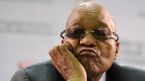 Zuma's visit: Stop using Ohaneze to Redeem your Battered Image