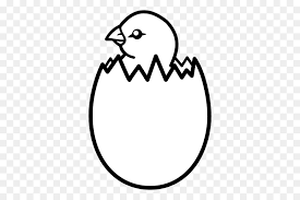 Check spelling or type a new query. Ayam Bebek Telur Gambar Png