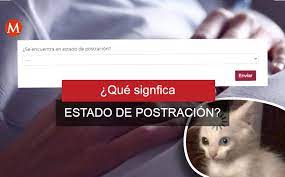 Ya inició el registro para vacuna en personas de 30 a 39 años. Quldmo6suk7kmm