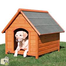 Page Recherchee Non Trouvable Grande Niche Niche Chien Chien En Bois