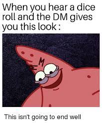 When You Hear A Dice Roll And The Dm Gives You This Look This Isn T Going To End Well Dice Meme On Me Me