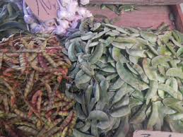 Zambrovates A Gauche Et Zantac A Droite Plants Reunion Vegetables