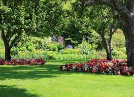 There is nothing more satisfying than planting a tree and watching it grow over the coming years. 12 Best Tips For Landscaping Around Trees Bob Vila