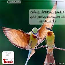 pin on صباح الخير