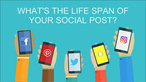 The Lifespan Of A Social Media Post App Development Companies Mobile App Development App Development