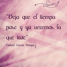 Rafael Salas On Instagram Todo A Su Debido Tiempo Deja Fluir Inspirational Quotes Quotes Me Quotes