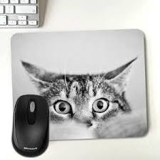 Sevimli Kedi Fotograf Baskili Mousepad Sevimli Kediler Kedi Fotograf