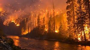 We did not find results for: Australie Un Incendie De Foret Fait Rage A Sydney Le Reporter Ma