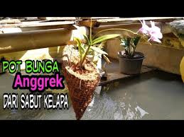 Maybe you would like to learn more about one of these? Cara Membuat Pot Bunga Anggrek Dari Sabut Kelapa Bentuk Kerucut Youtube