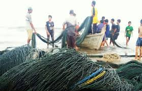 Dan sebenarnya dalam jangka panjang akan merugikan kepentingan ekonomi bangsa juga. Nelayan Lhokseumawe Bertahan Dengan Cantrang Dan Pukat Harimau