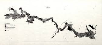 Image result for Eriochloa meyeriana