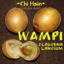 Image result for Clausena lansium