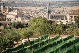 Viñedos cigarral santa maría (fincas toledo). Vinedos Cigarral Santa Maria Toledo Restaurant Reviews Photos Phone Number Tripadvisor