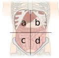 Maybe you would like to learn more about one of these? File Abdominal Quadrant Regions Jpg Wikimedia Commons