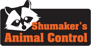 Please enter a valid zip code. Animal Removal Baltimore Md Shumaker Animal Control