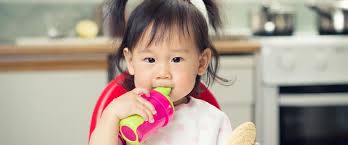 Early Nutrition How To Introduce Full Cream Milk To Your Toddler