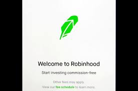 Short term price is entirely random. Factbox What Robinhood S Ipo Filing Says About The Reddit Army Reuters