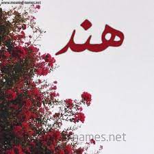 اليك يا من همت حباواعجابابها اليك يا من احببتها وعشقتها بقلبي وعقلي قبل ان تراها عيني. Ø¨Ø§Ù„ØµÙˆØ± Ø§Ø³Ù… Ù‡Ù†Ø¯ Ù…Ø²Ø®Ø±Ù Ù…Ø¹Ù†Ù‰ Ø§Ø³Ù… ØµÙØ§Øª Ø¯Ù„Ø¹ Ù‡Ù†Ø¯ ÙˆØ´Ø¹Ø± ÙˆØºÙ„Ø§Ù ÙˆØ±Ù…Ø²ÙŠØ§Øª Photos And Meaning Name ØµÙ‚ÙˆØ± Ø§Ù„Ø¥Ø¨Ø¯Ø¢Ø¹