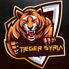 سرقة أشهر قنوات الألعاب على يوتيوب. Tieger Syr Posts Facebook