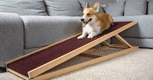 Maybe you would like to learn more about one of these? What S The Best Dog Ramp For Your Pet