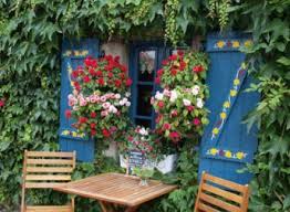 Glycine Clematite Lierre Grimpant Planter Des Plantes Grimpantes Lierre Grimpant Jardin Murale Plante Grimpante