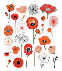 Poppy Embroidery Kit Flower Illustration Flower Drawing Drawings