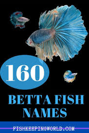 160 Best Betta Fish Names For Your Fiery Friend Fishkeeping World In 2020 Betta Fish Beta Fish Names Betta